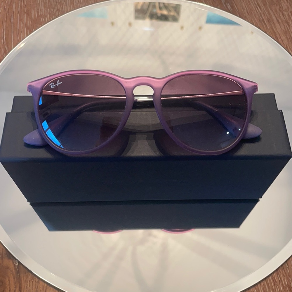 RayBan Erika Sunglasses
